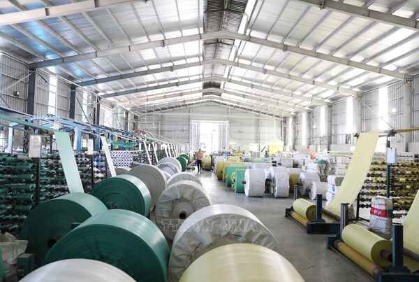 nhà máy bao bì nên đầu tư như thế nào trong tương lai